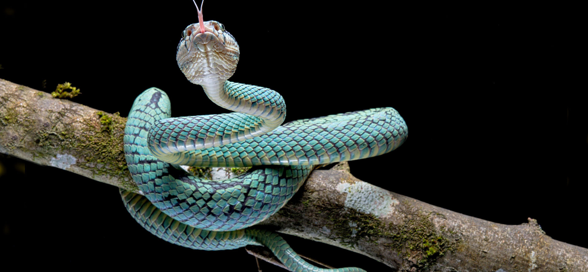 Zoohandlung -Zoohandlung 1